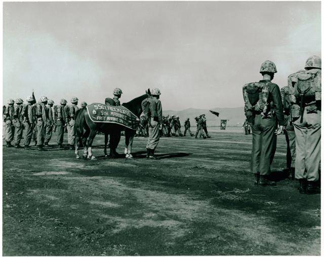 미국 캘리포니아주 펜들턴 기지에서 열린 진급 열병식에서 상사로 진급한 레클리스가 미 해병대원들에게 경례를 받고 있다. 도레미엔터테인먼트 제공