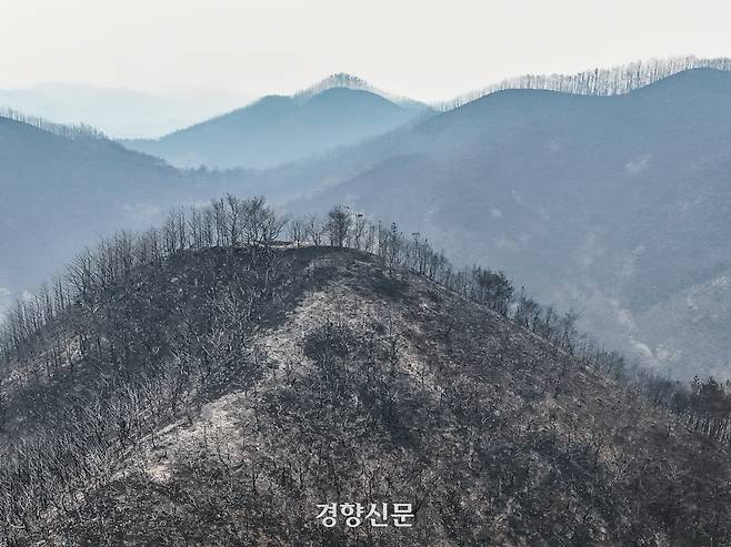 경북 영덕군 영덕읍 석리 마을 인근 야산이 지난달 28일 산불 피해로 폐허로 변해 있다. 성동훈 기자