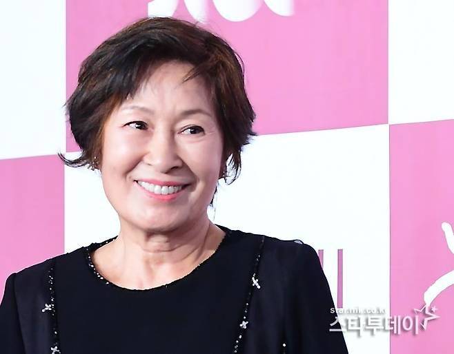 김혜자. 사진 ㅣ스타투데이DB