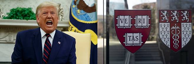 도널드 트럼프 미국 대통령(왼쪽)과 하버드대. [EPA]