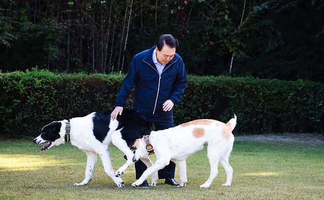 [서울=뉴시스] 최진석 기자 = 윤석열 전 대통령이 지난해 11월10일 서울 용산 대통령 관저에서 중앙아시아 순방 때 선물로 받은 투르크메니스탄 국견 알라바이 해피(왼쪽)와 조이를 산책시키고 있는 모습. (사진=대통령실 제공) 2024.11.11. photo@newsis.com *재판매 및 DB 금지