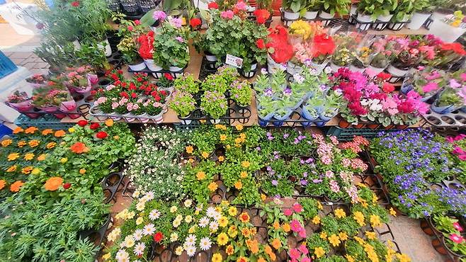 [양양=뉴시스] 양양전통시장 모습.(사진=양양군 제공)photo@newsis.com *재판매 및 DB 금지