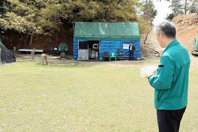 [창원=뉴시스] 조명래 경남 창원시 제2부시장이 18일 진해구 명동 소쿠리섬에서 포획된 사슴들을 관찰하고 있다. (사진=창원시청 제공) 2025.04.18. photo@newsis.com *재판매 및 DB 금지