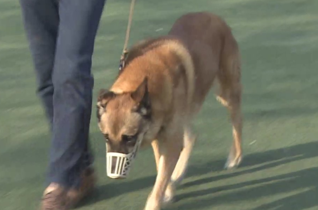 기사 이해를 돕기 위한 자료사진, 연합뉴스