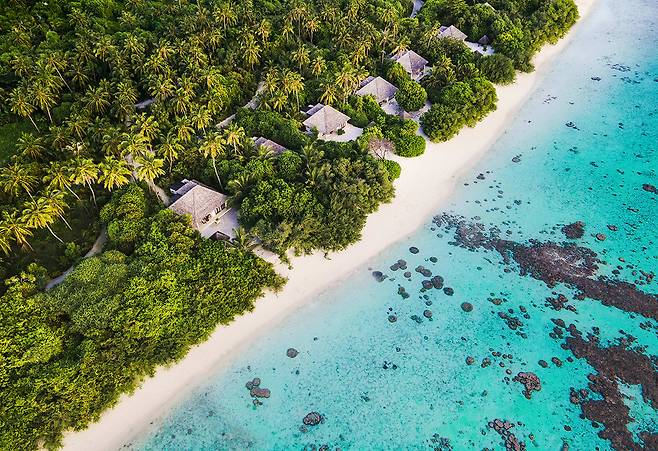 무성한 초목 사이 해변과 이어진 비치 빌라. 사진제공|팜투어