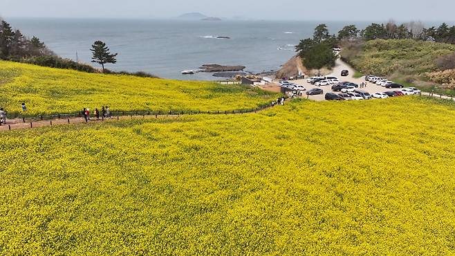 사진출처 : 부안군