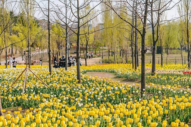 서울식물원 제공