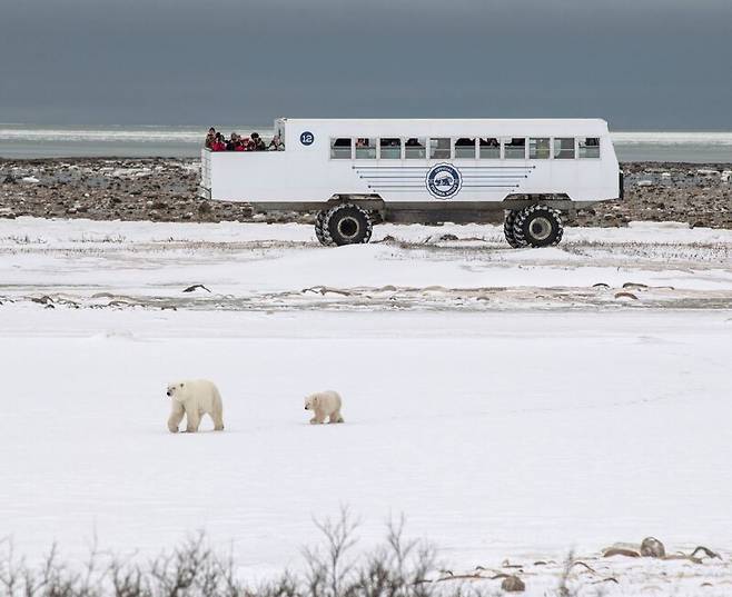 2025 소니세계사진상 ‘올해의 사진작가상’을 받은 ‘인류세 환상’ 시리즈. © Zed Nelson|Sony World Photography Awards 2025