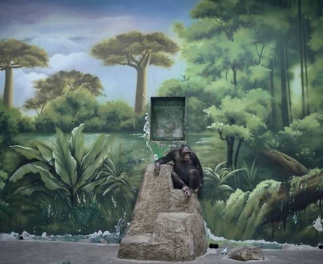 2025 소니세계사진상 ‘올해의 사진작가상’을 받은 ‘인류세 환상’ 시리즈. © Zed Nelson|Sony World Photography Awards 2025