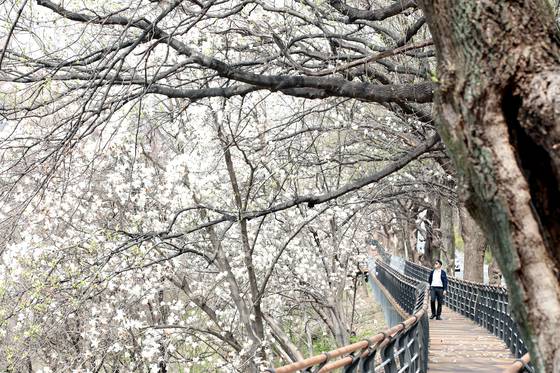 충북도는 청남대 매표소와 별장매점 구간에 생태탐방로를 조성했다. 사진 충북도