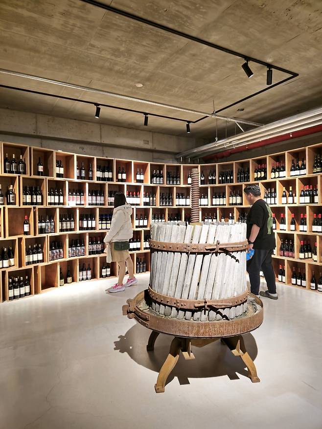 춘천세계주류마켓 지하 까브.