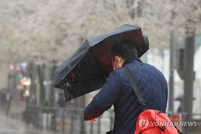 요란한 봄비 (서울=연합뉴스) 신현우 기자 = 전국 곳곳 비가 내린 14일 서울 서대문구 연세로에서 우산을 쓴 시민이 횡단보도를 건너고 있다. 2025.4.14 nowwego@yna.co.kr