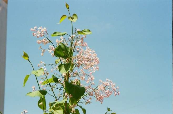 0c998200b6f06bf423ed83e2469c706f3caf6d0dc918a34cf24a25ce3af52c684ec83fc14cdcc5582f8f65c179f586cbdf304a4b