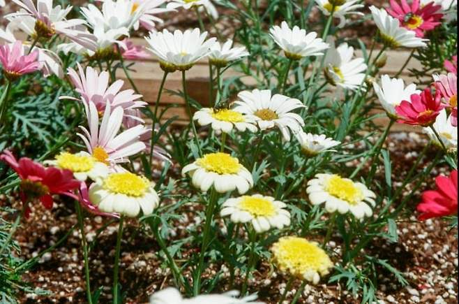 089c8974b1f760f523e9f596339c706818fbe541902151fa4c148cced49444b307f584ee83cb894144691d8867c4eb28fe7c2e7f