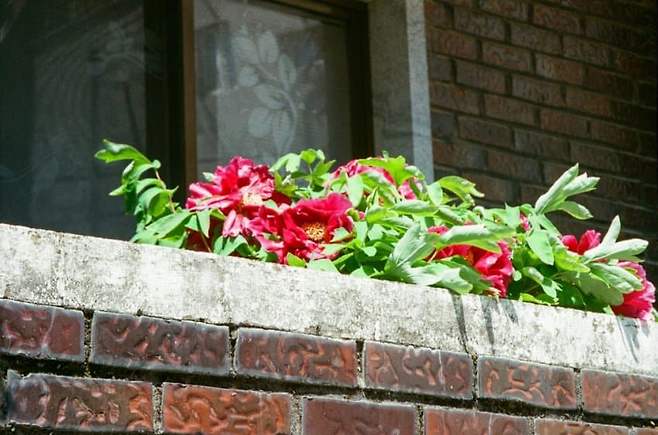 7deef375bc8a6ff2239d81e0309c701e66aa451286fa628930e2b144d48db34d230ba56ba6b0ed46dbb68374577bcd82ddc63b00