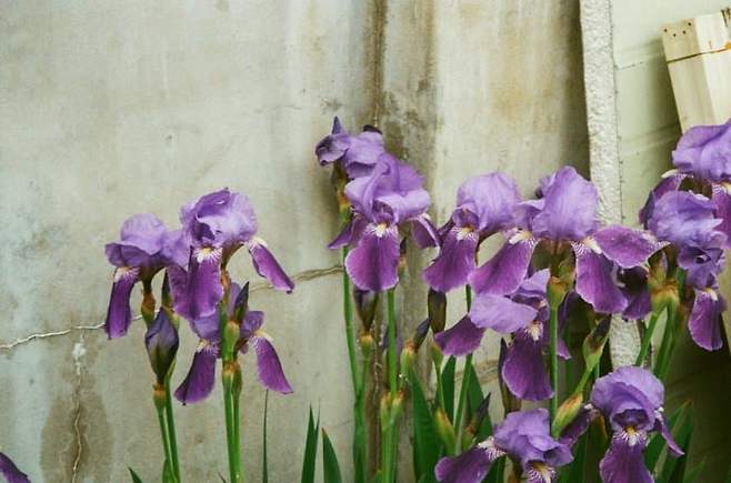 7aec8177b0826df623e882e2329c7068723e69f8fead0165c969556900598f49b744968a50e4a0caea12c05b6f490ad19ca8f87f