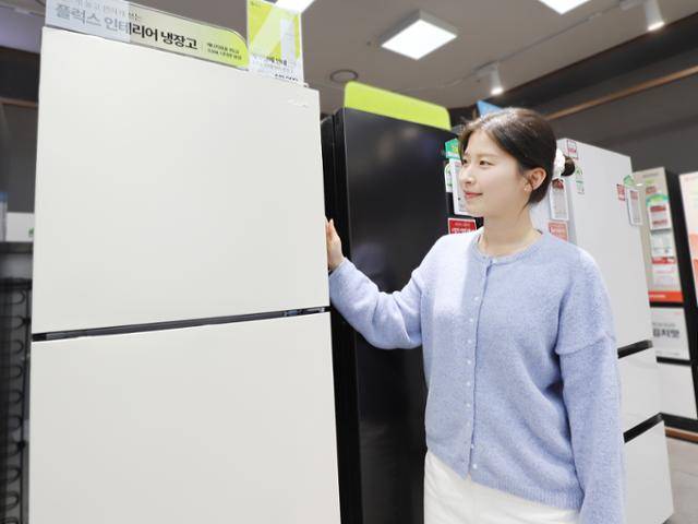 롯데하이마트가 자체 브랜드(PB) 플럭스(PLUX)를 출시한다고 20일 밝혔다. 롯데하이마트 제공