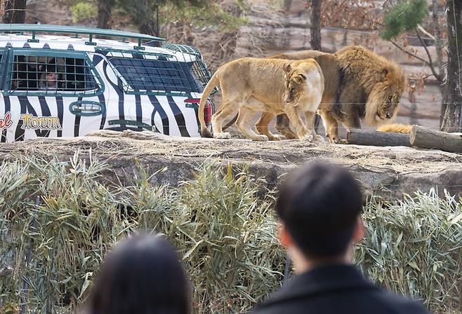 리버트레일과 이어지는 로스트밸리.