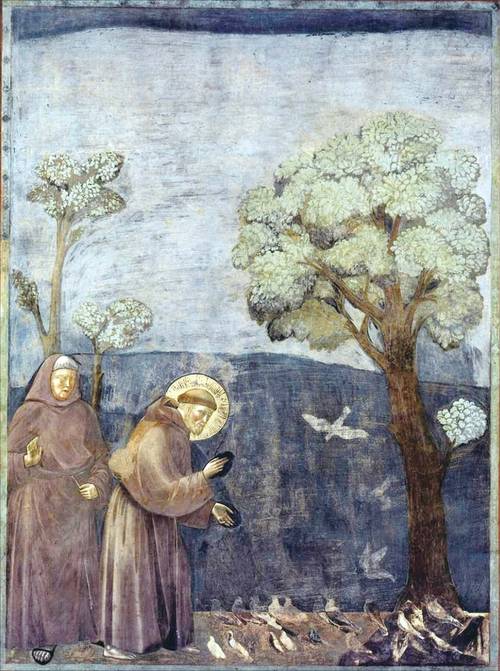 새에게 설교하는 성 프란체스코, 조토(1267~1337년)