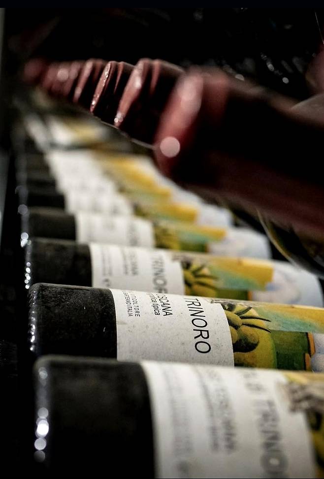 테누타 디 트리노로. 인스타그램