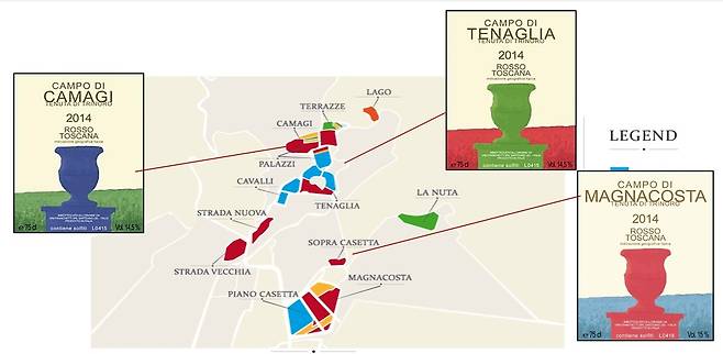 이 캄피 싱글빈야드 위치.