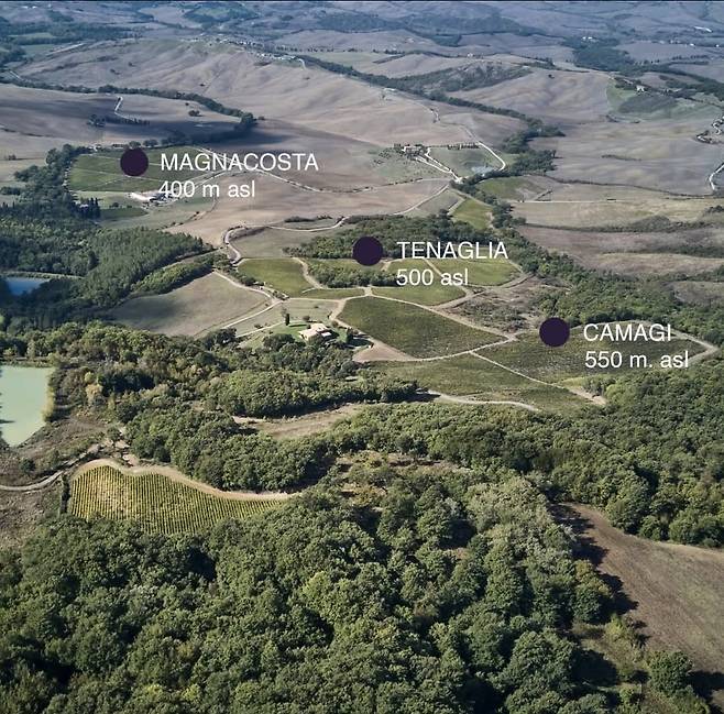 이 캄피 싱글빈야드 위치. 홈페이지