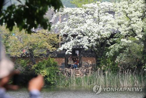 밀양 위양지 [연합뉴스 자료사진]