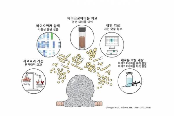 마이크로바이옴 활용분야./비티시너지 제공