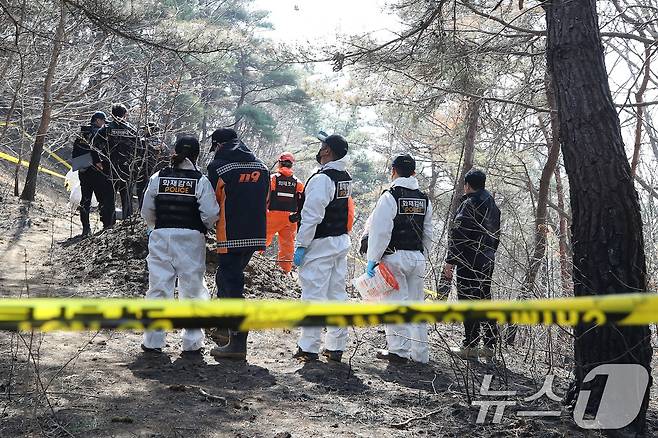 31일 오전 경북 의성군 안평면 괴산리 산불 발생 현장에서 국립과학수사연구원·소방·경찰 관계자들이 합동감식을 벌이고 있다. 2025.3.31/뉴스1 ⓒ News1 공정식 기자