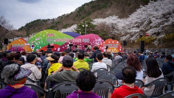 보곡산골 산벚꽃축제 모습/사진=금산문화관광재단