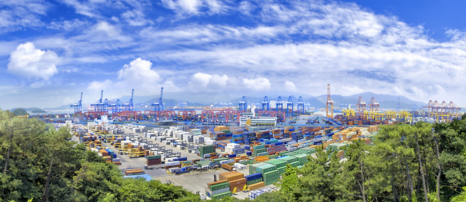 선적을 기다리고 있는 환적과 수출입 화물 컨테이너들이 부산진해경제자유구역 내 부산항 신항에 가득 쌓여 있다. 부산진해경제자유구역청 제공