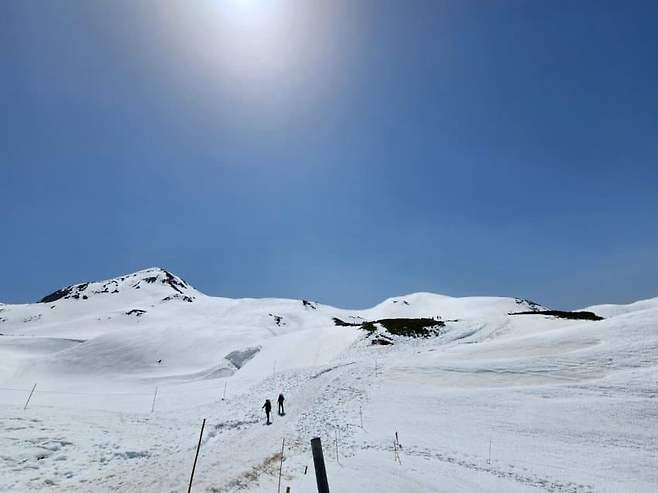 7cea8473b78368ff3fea84e3469f2e2d88b36adc5496c98273a3afdb38