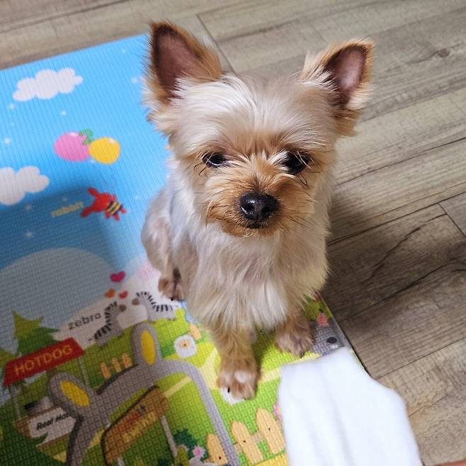 20250420_202825.jpg 집에서 돼지갈비집 느낌을 내고 싶을땐?