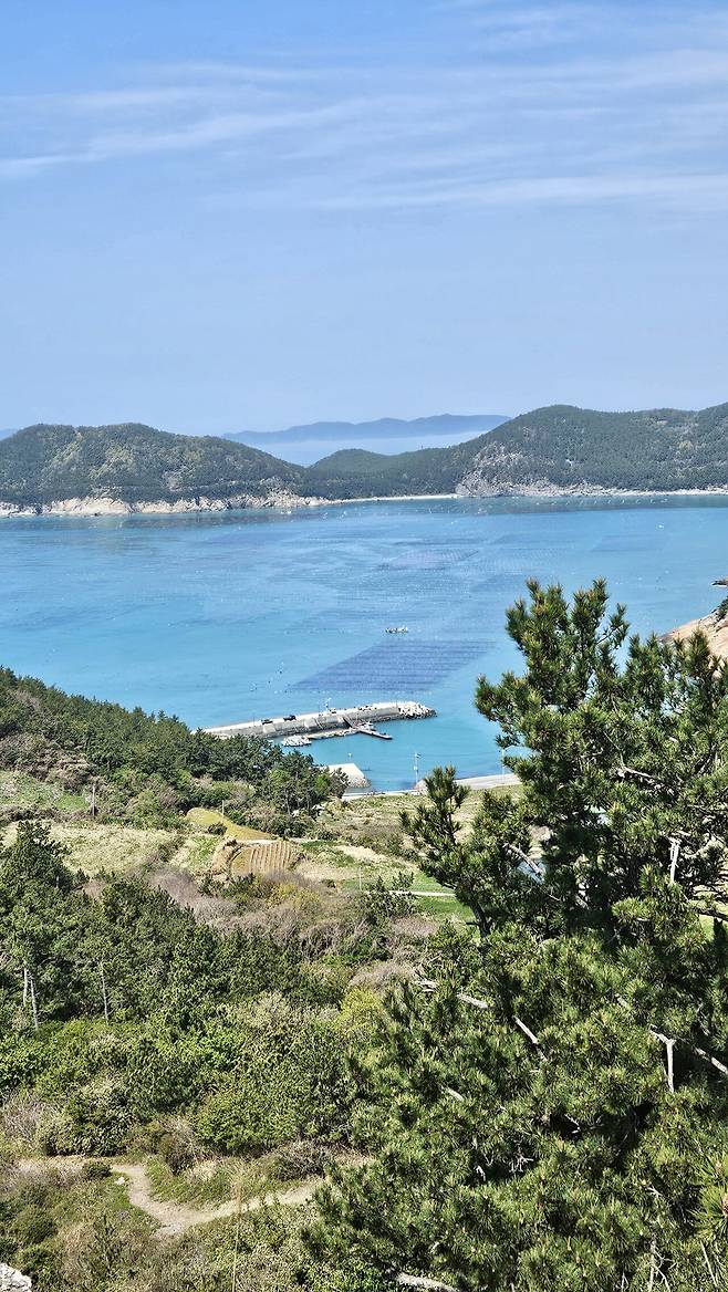 20250419_111503.jpg 청산도 넘나 예쁜 섬