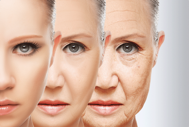 세포의 노화를 이끄는 물질이 확산되는 과정을 밝혀낸 연구 결과가 발표됐다. 게티이미지