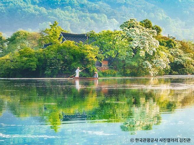 4월 말~ 5월 초는 이팝나무꽃이 제철이다. 사진은 밀양 8경 중 하나로 꼽히는 위양지. /사진=한국관광공사