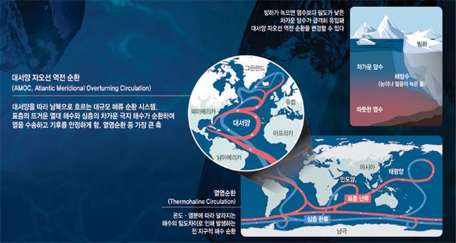 그래픽 =  권호영 기자