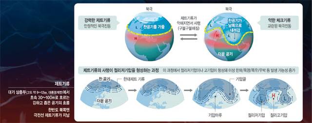 그래픽 =  권호영 기자