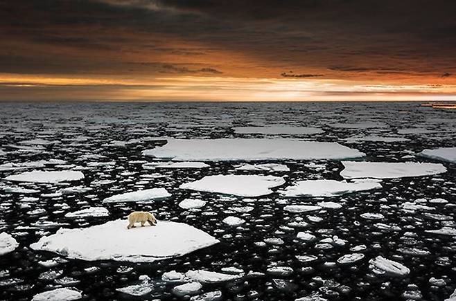충무아트센터에  선보인 이탈리아 작가 마르코 가이오티의 작품.  *재판매 및 DB 금지