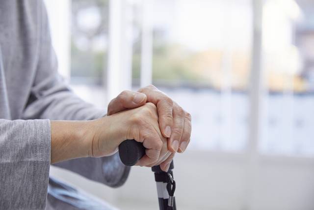 노화된 세포에서 발생한 신호가 온몸으로 퍼지는데 세포핵에서 분비되는 ReHMGB1이라는 물질이 관여한다는 사실이 국내 연구진에 의해 세계최초로 밝혀졌다. 사진은 기사의 특정 사실과 관련 없음. 게티이미지뱅크