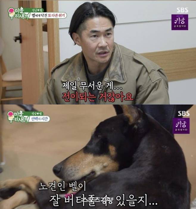 21일 방송된 ‘미루새’에 출연한 배우 배정남. SBS 방송화면 캡처