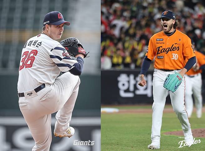 롯데 터커 데이비슨(왼쪽)과 한화 코디 폰세.    롯데 자이언츠·한화 이글스 제공