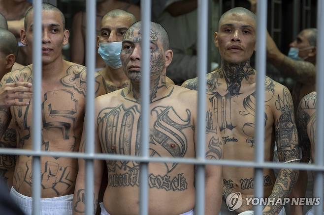 엘살바도르 교도소에 수감된 갱단 조직원들 [AP 연합뉴스 자료사진]