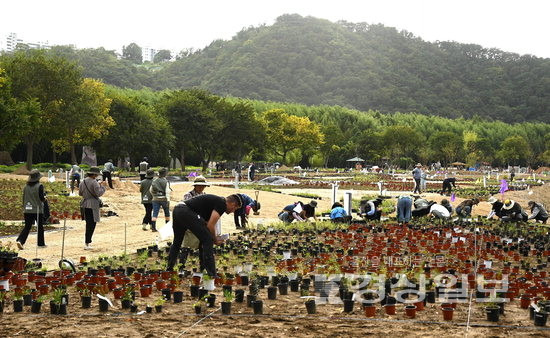 ▲ 지난 2022년도 울산 중구 태화강국가정원 내 아우돌프 정원을 조성하고 있는 모습. 경상일보 자료사진