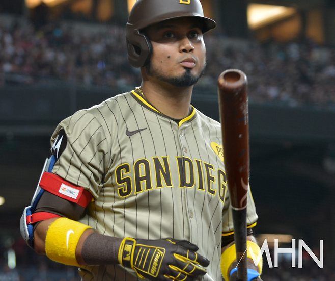 (루이스 아라에즈)