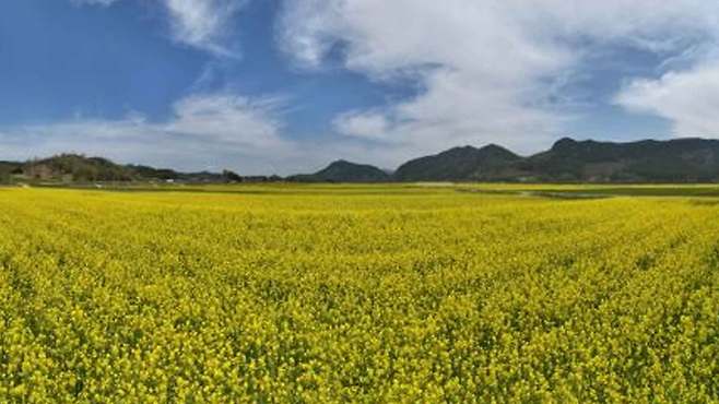 사진출처 : 순창군