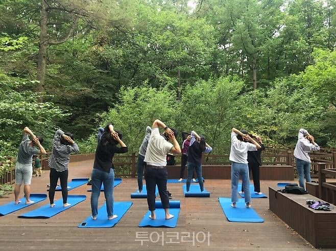 참가자들이 산림치유프로그램에 참여하고 있는 모습/사진-산림청