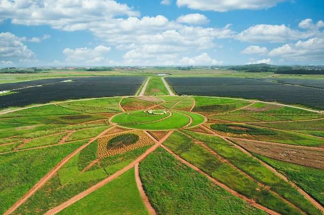 전남 솔라시도 태양의 정원. BS그룹 제공