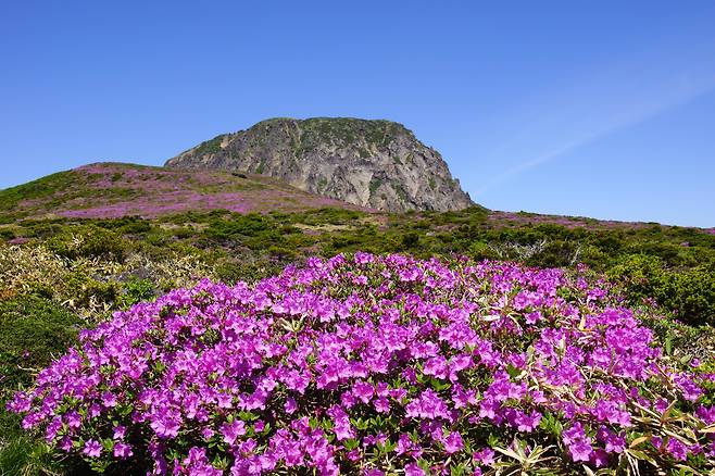 한라산/제주도