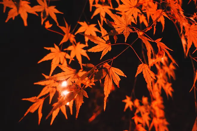 7ff3c723e7c218986abce89542887465d5295c